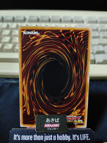 Priestess of Wise Salvation Yugioh RD/AP03-JP048 Rush Duel JAPAN