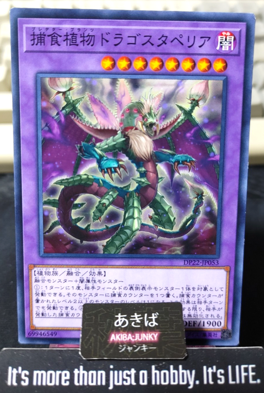 Predaplant Dragostapelia Yugioh DP22-JP053 Yu-Gi-Oh Konami OCG JAPAN