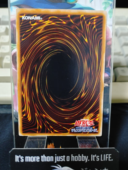 47425954
