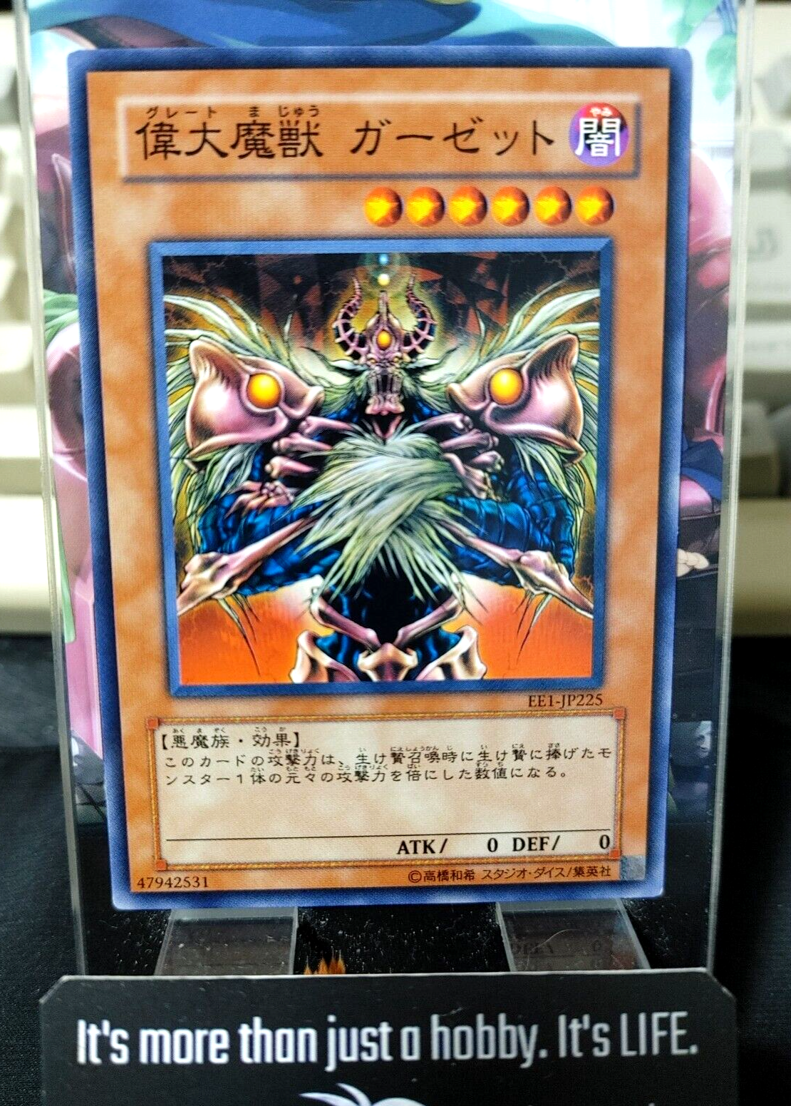 47429062