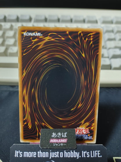 Heartfelt Appeal Yugioh DP12-JP025 Rare Konami OCG JAPAN