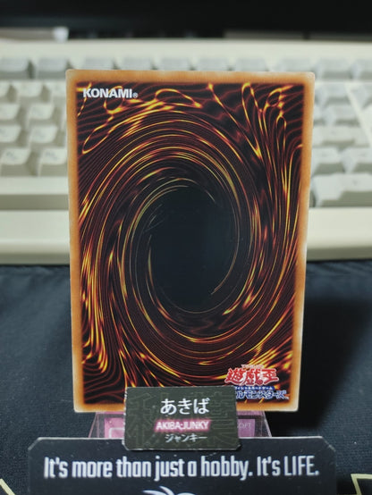 47431008