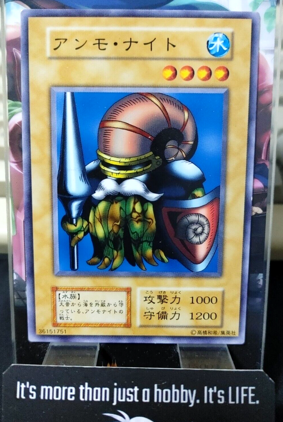 47431240
