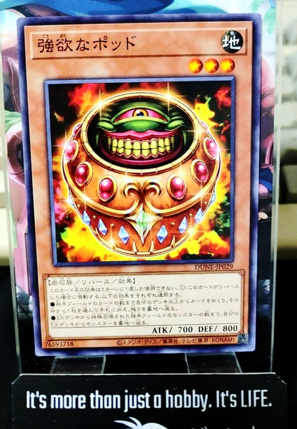 47434827