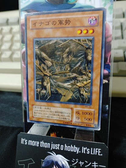 47431399