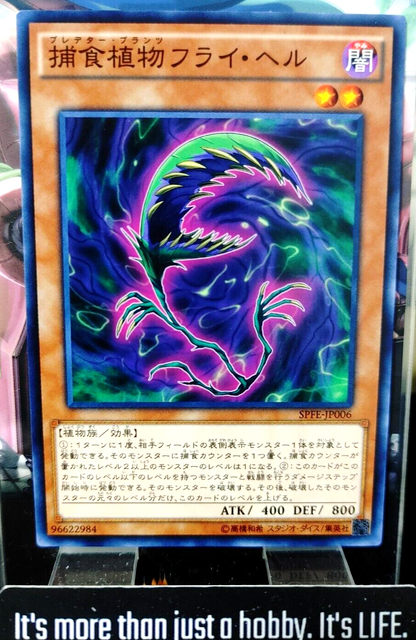 47425573