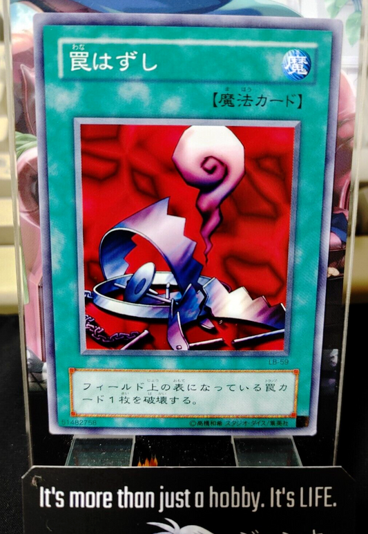 47430304