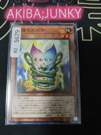 Sunseed Twin Yugioh SLT1-JP030 Yu-Gi-Oh Konami OCG JAPAN