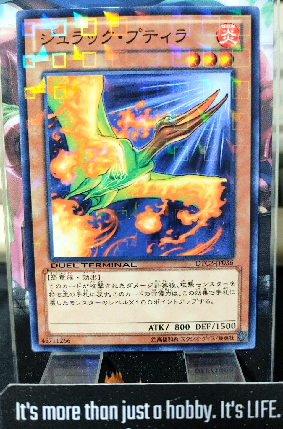 47435048