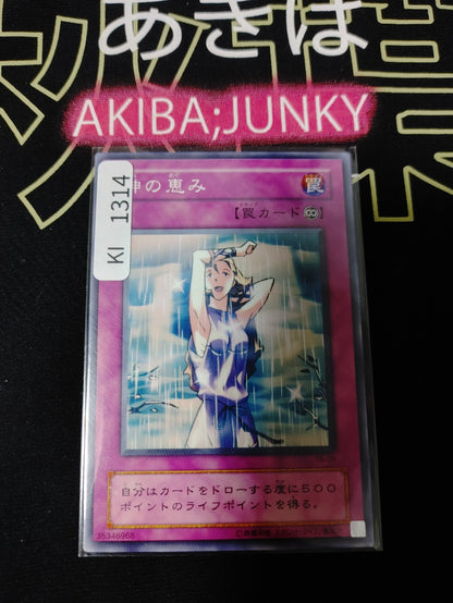 47432024