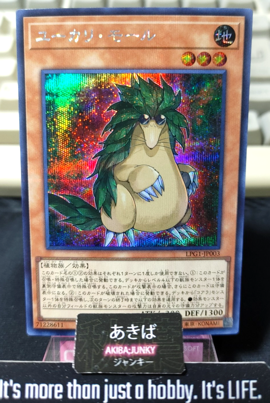 47427352