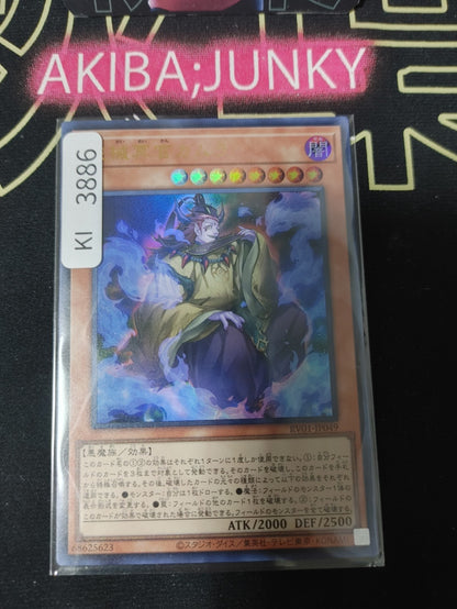 47444613