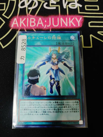 47434004