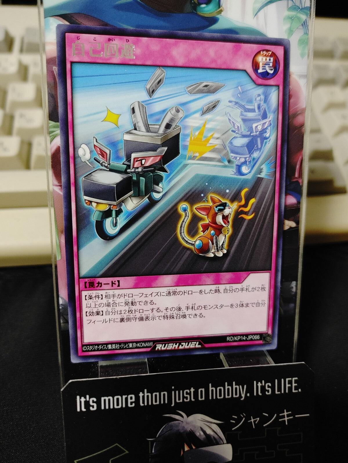 47429587