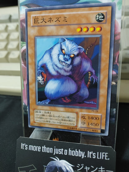 47423818