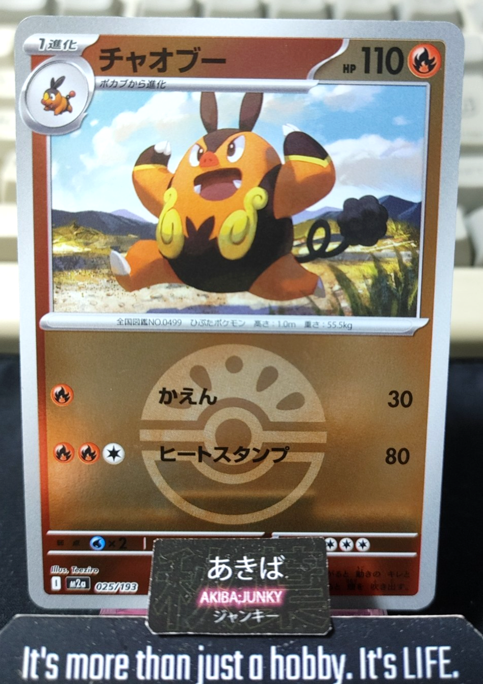 Pokemon Pignite M2a 025/193 Friend Ball Foil Card Japanese JAPAN