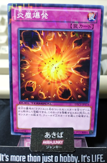 47425238