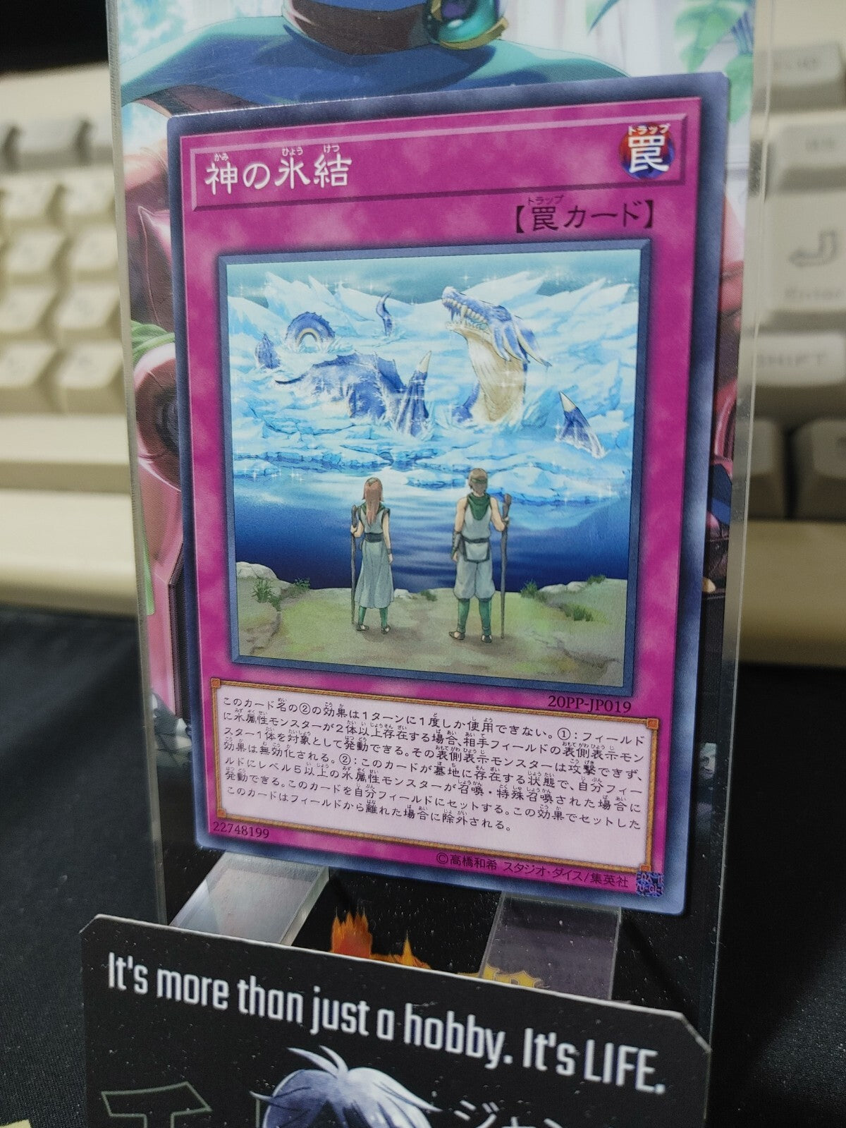 47431137