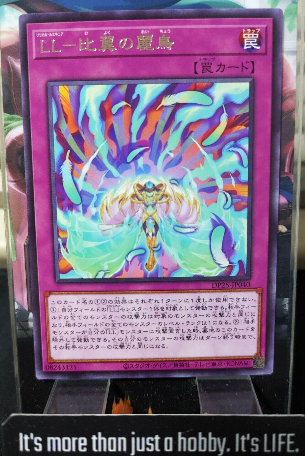 47431534