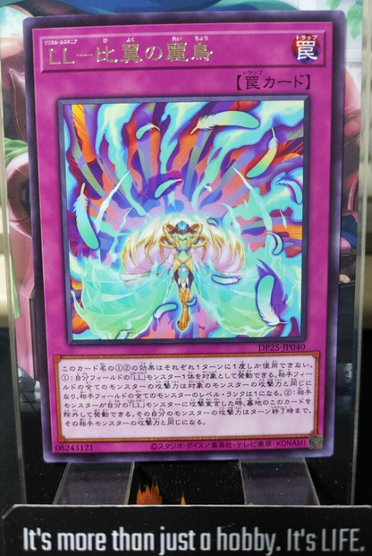 47431534