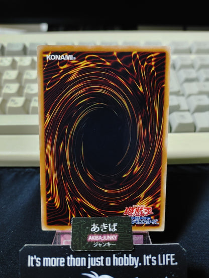 47432504