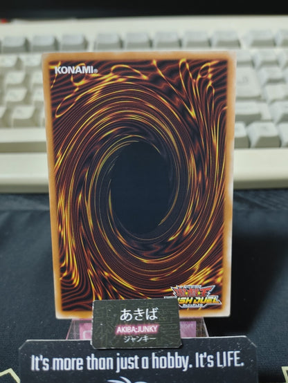 47439807
