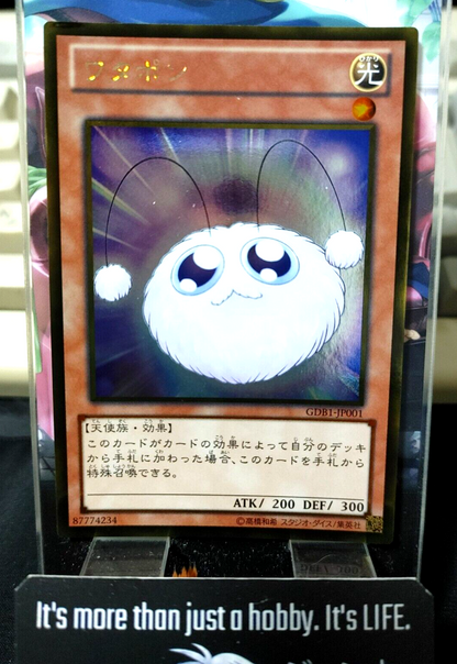 47434648
