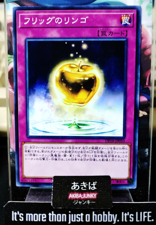 47431329