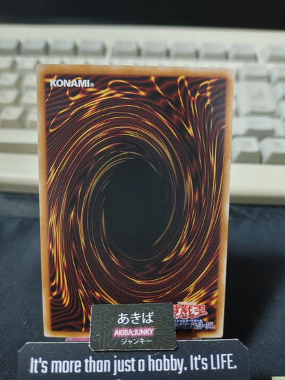 Dark Paladin - Wave-Motion Yugioh YAC1-JP009 Secret Rare Konami OCG JAPAN