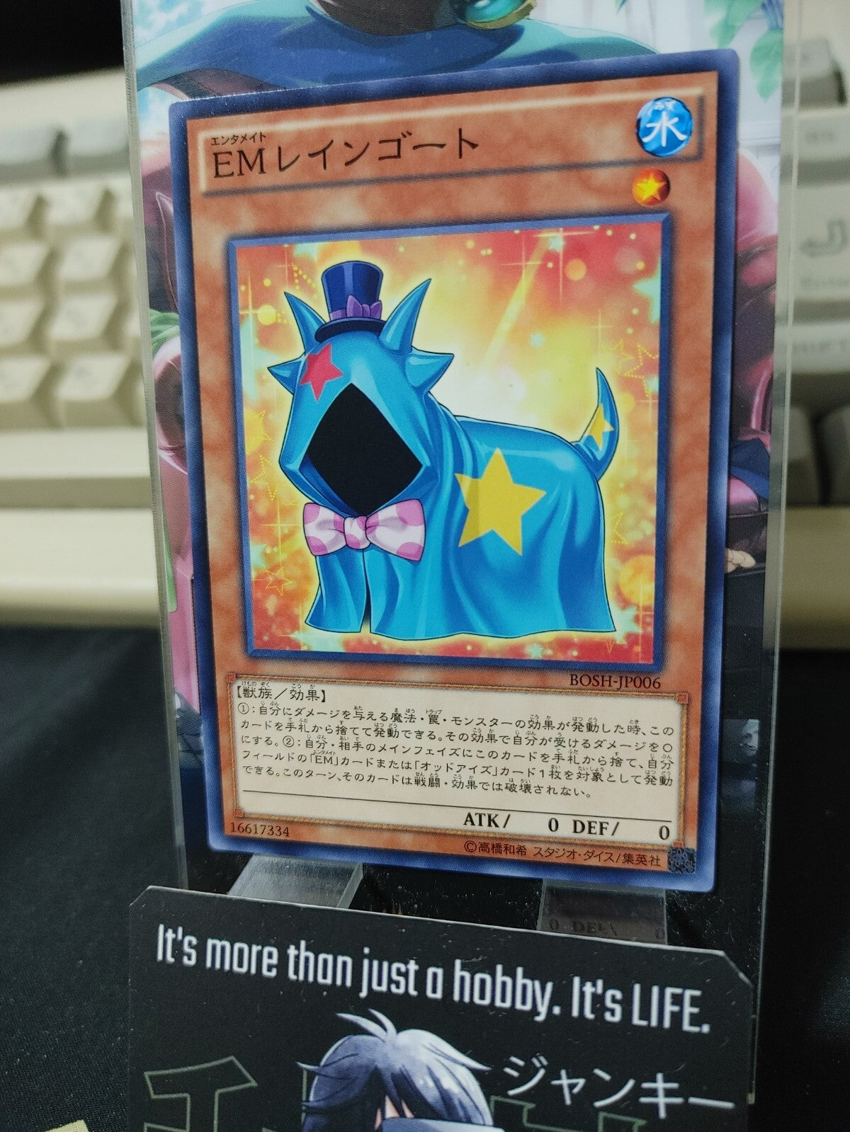 47429554