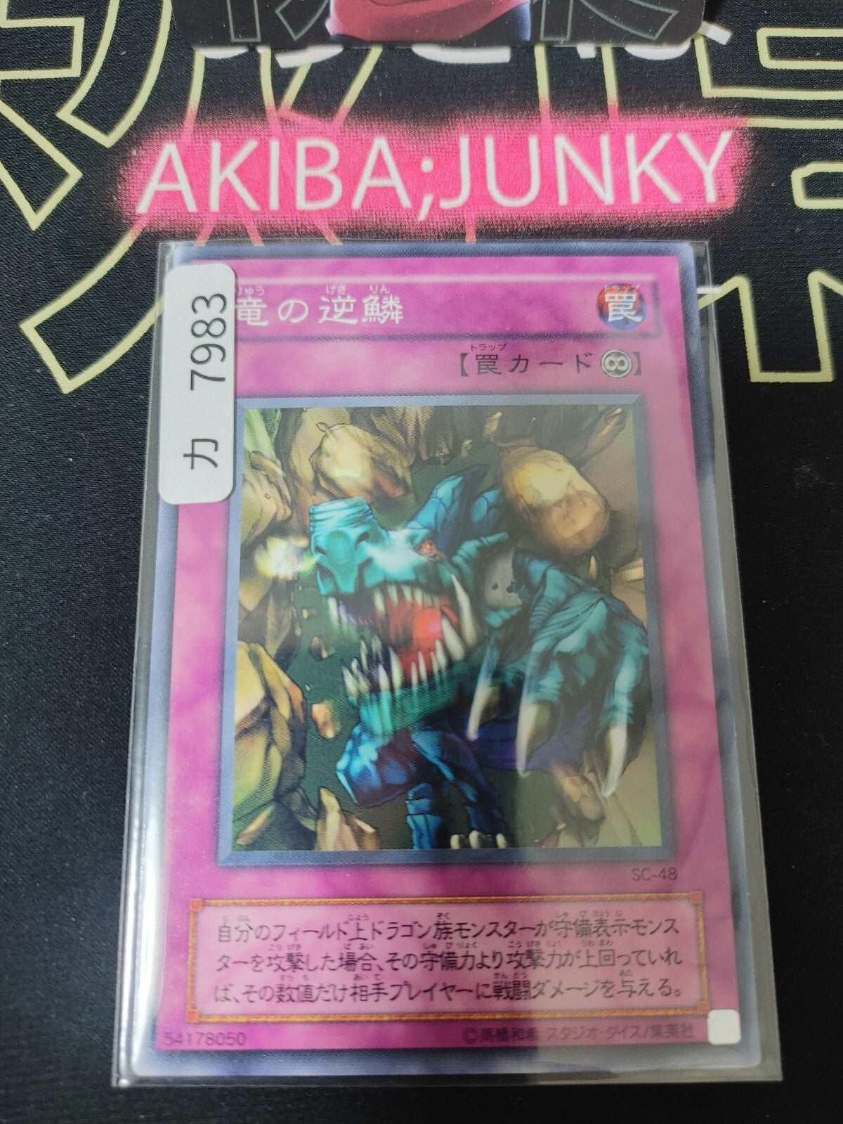 47434594