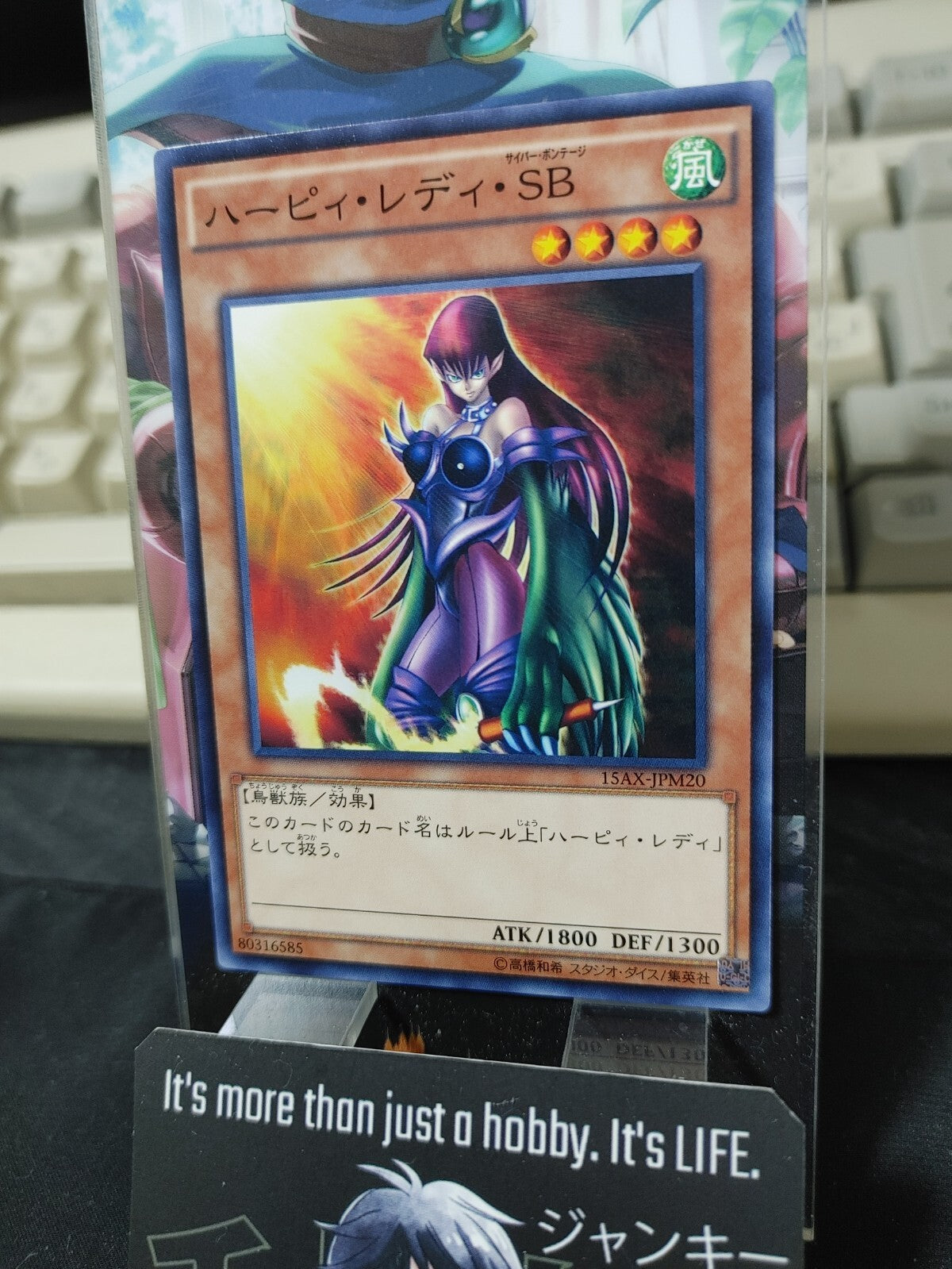 47425244