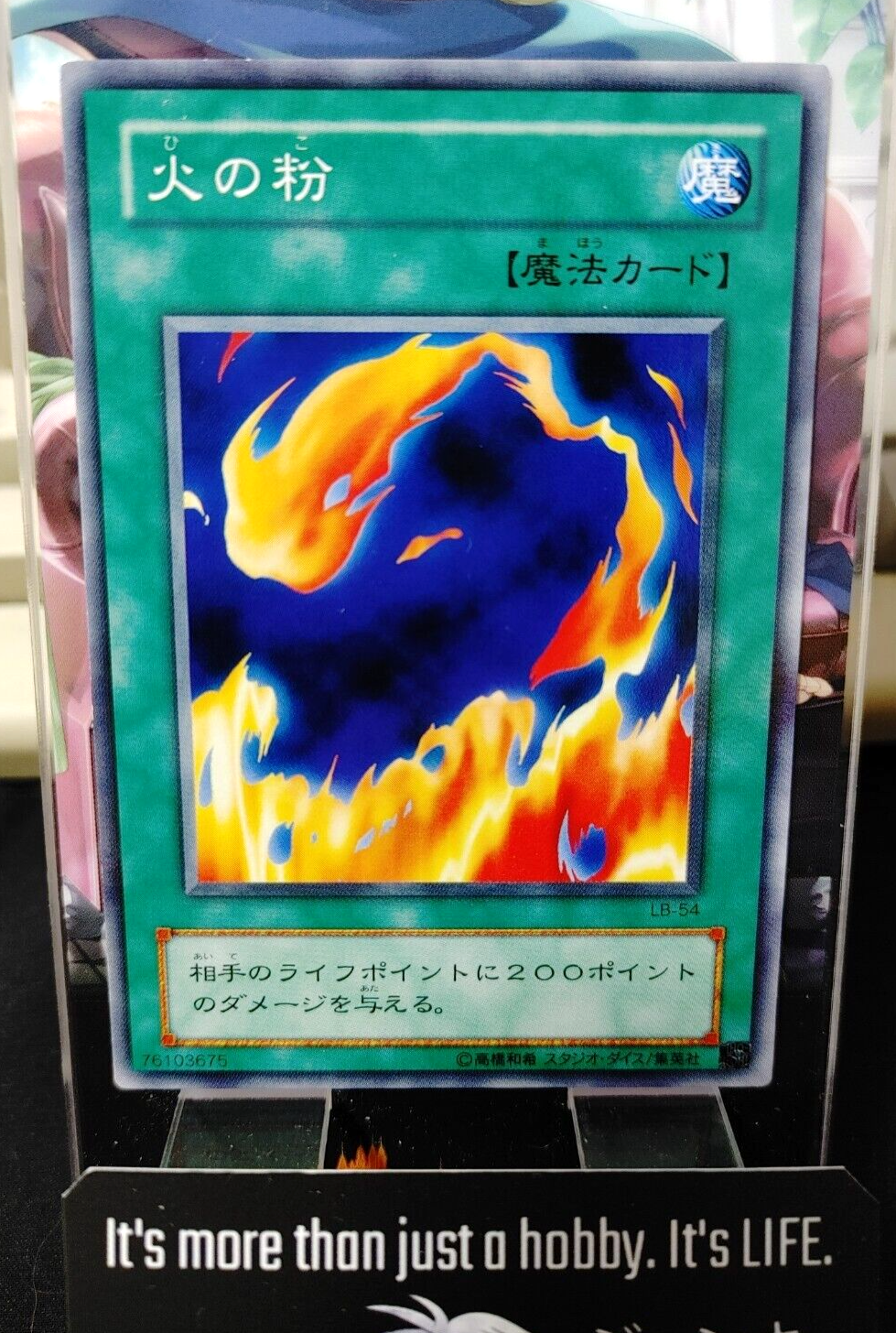 47429246