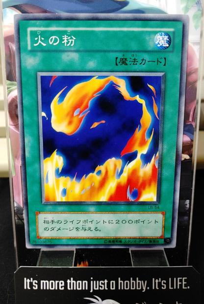 47429246