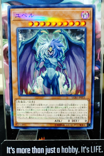 47429904