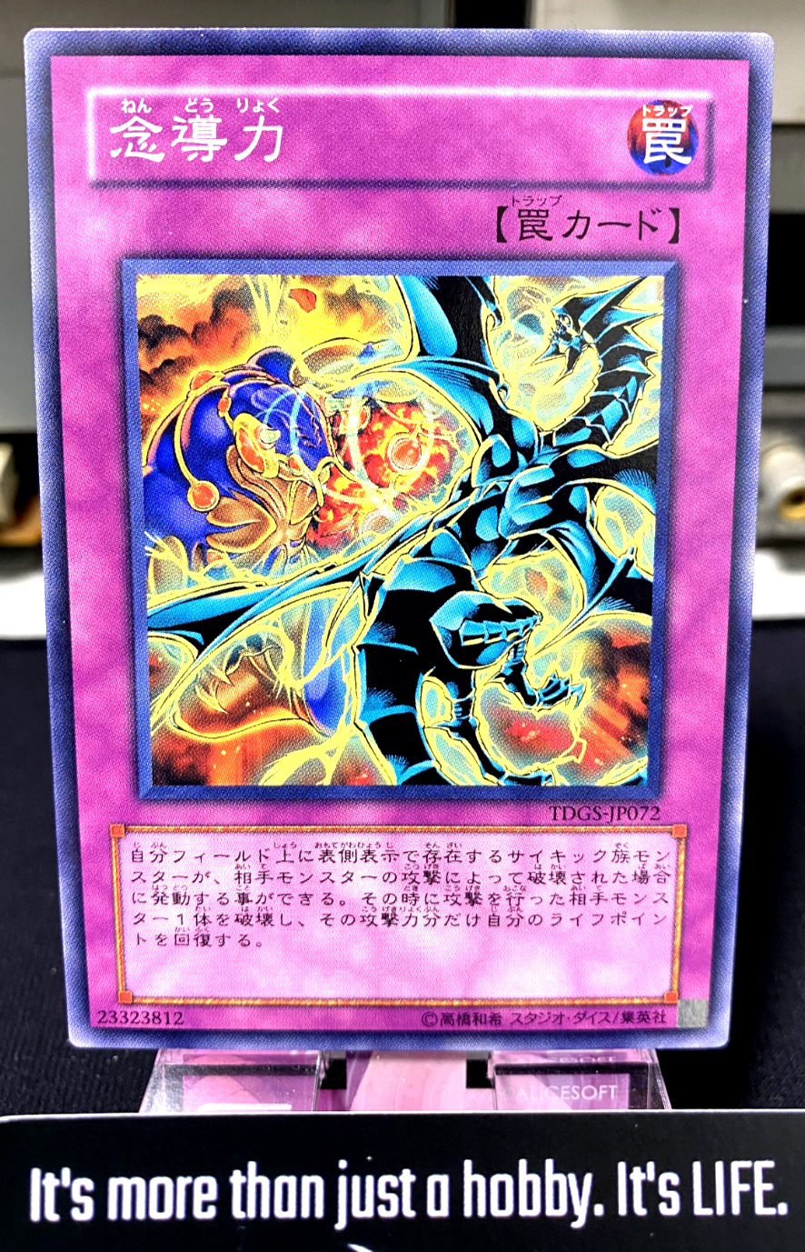 47429046