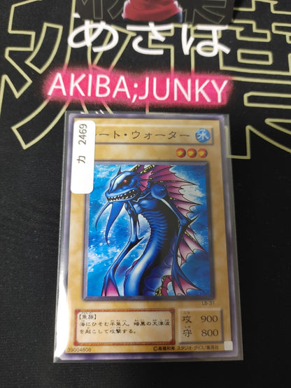 47429247
