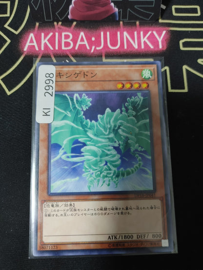 47435075