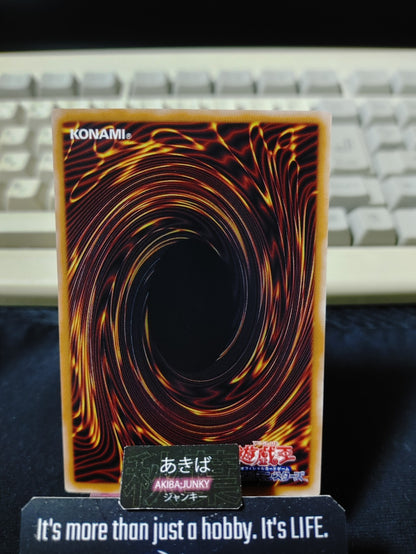 Sea Monster of Theseus Yugioh DBGV-JP015 Yu-Gi-Oh Konami OCG JAPAN