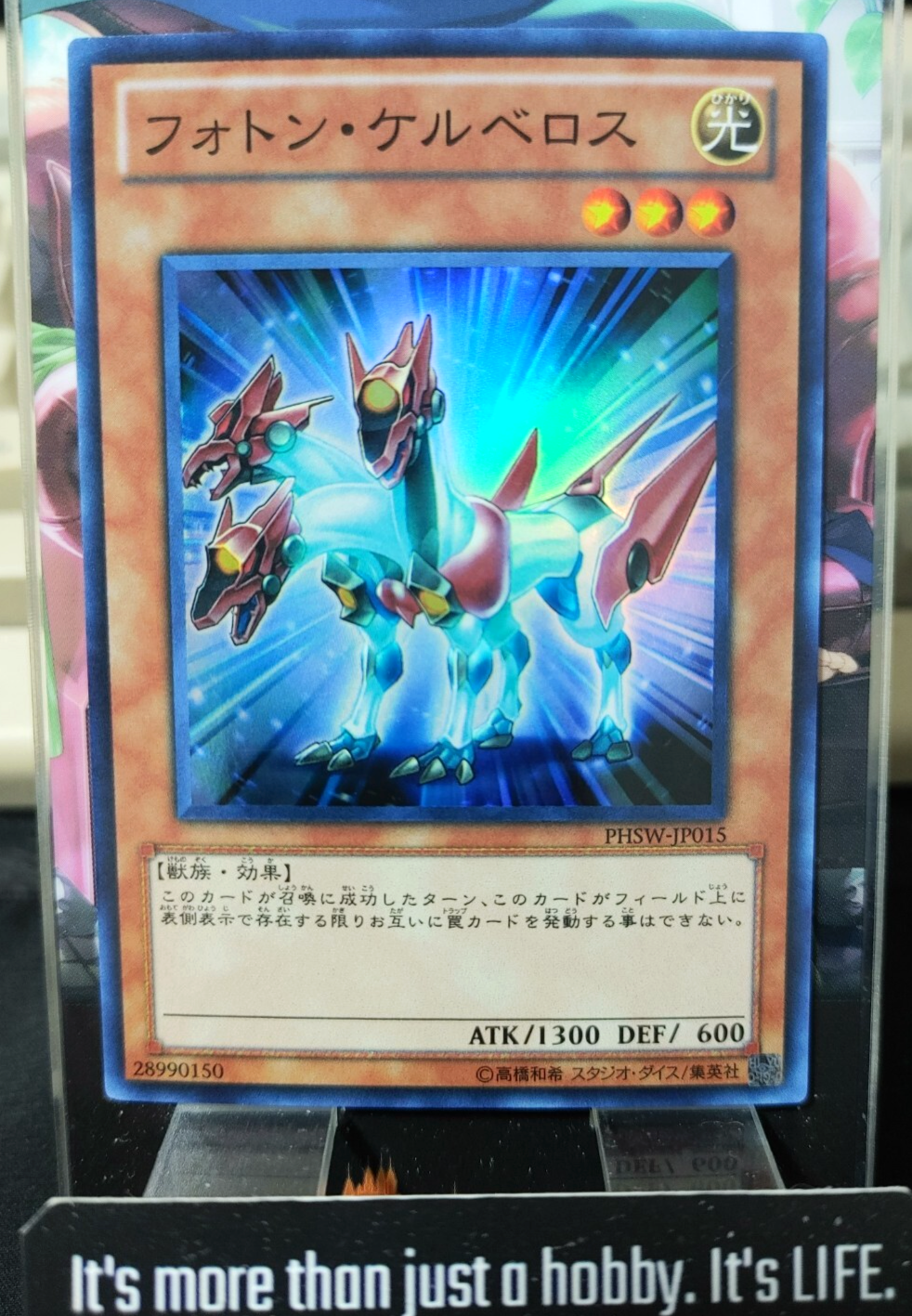 47429902