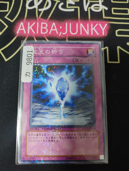 47433206