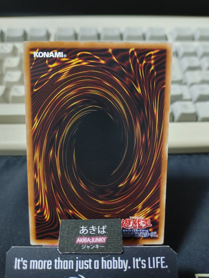 Sunseed Twin Yugioh SLT1-JP030 Yu-Gi-Oh Konami OCG JAPAN