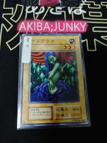 47435692