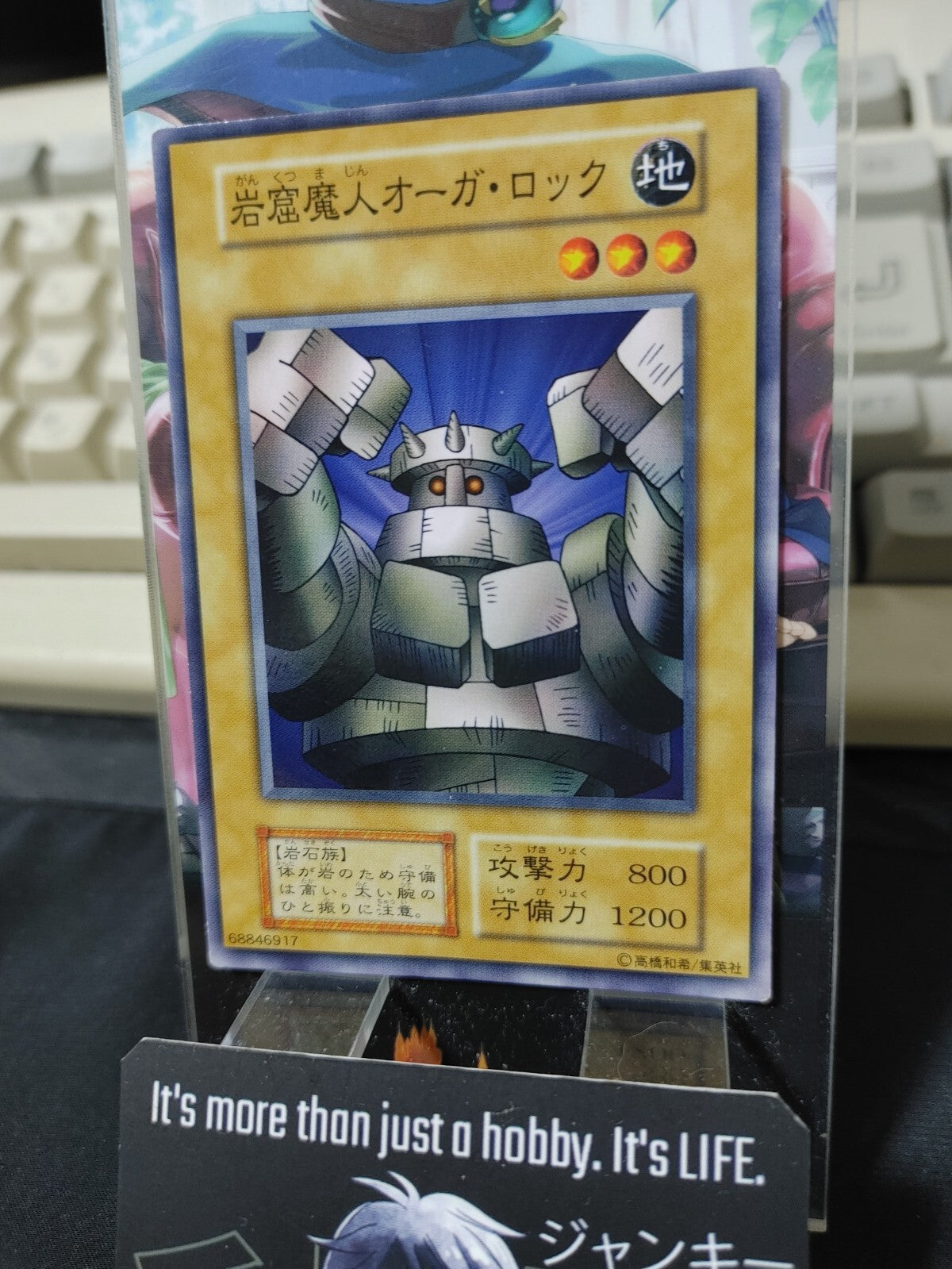 47431021