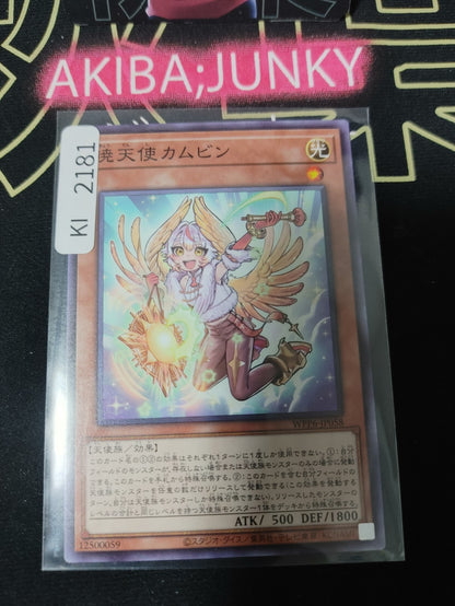 47432619