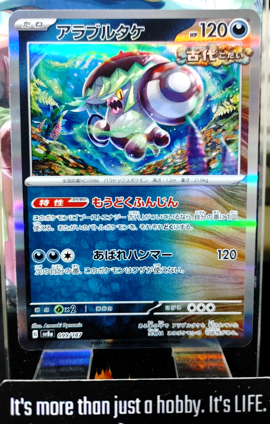 47429880