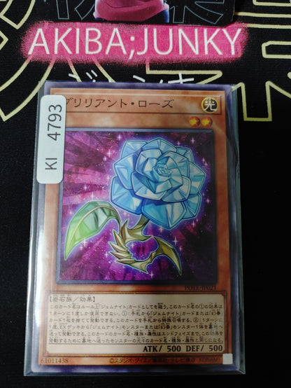 Brilliant Rose Yugioh POTE-JP021 Yu-Gi-Oh Konami OCG JAPAN