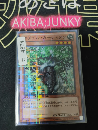 47429021