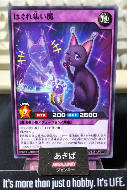 47465797