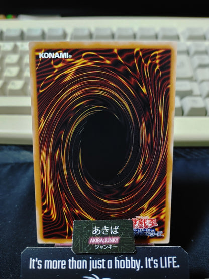 47450059